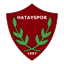 Hatayspor