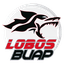 Lobos BUAP